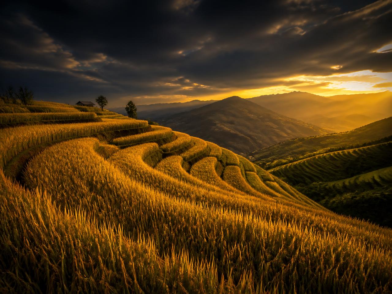 Agribusiness